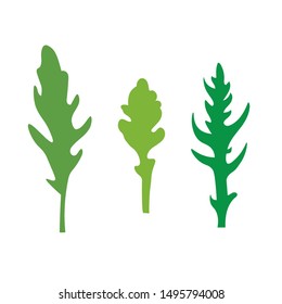 arugula leaves icon- vector illustration