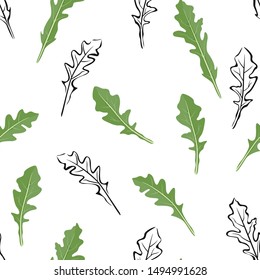 Arugula leaves seamless pattern on  white background. Vector illustration of fresh green leaves in cartoon flat style. and black and white outline.