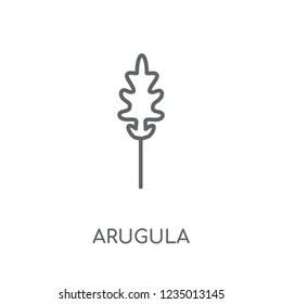 Arugula linear icon. Modern outline Arugula logo concept on white background from Fruits and vegetables collection. Suitable for use on web apps, mobile apps and print media.