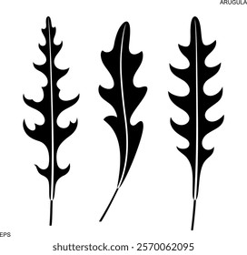 Arugula logo. Isolated Arugula on white background