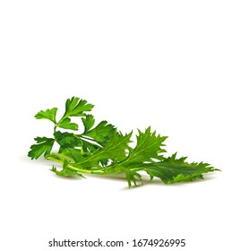 Arugula with parsley low poly. Fresh green plant, nutritious, tasty green arugula. Vegetables ingredients in triangulation technique.
Arugula with parsley in triangulation technique. 