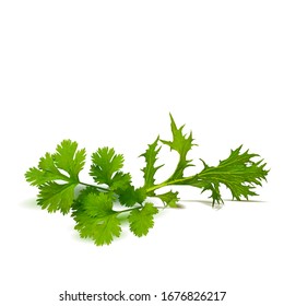 Arugula with parsley low poly. Fresh green plant, nutritious, tasty green arugula. Vegetables ingredients in triangulation technique.
Arugula with parsley in triangulation technique. 