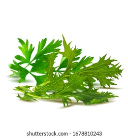 Arugula with parsley low poly. Fresh green plant, nutritious, tasty green arugula. Vegetables ingredients in triangulation technique.
Arugula with parsley in triangulation technique. 