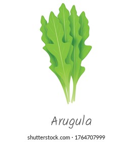 Arugula Plant, Rocket Plant, Rocket Leaf