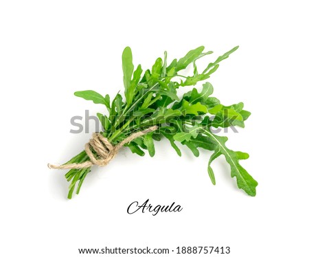 Arugula, Arugula, Ruccola Leaves, Rucola, Eruca or Roquette Salad [[stock_photo]] © 