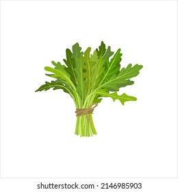 Arugula, rucola bunch vector illustration. Farm market vegetable product. Salad ingredient. Isolated object on white background.