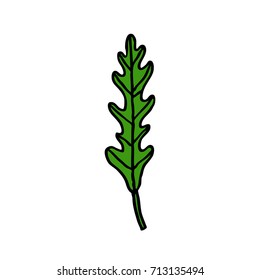 arugula (rucola) doodle icon