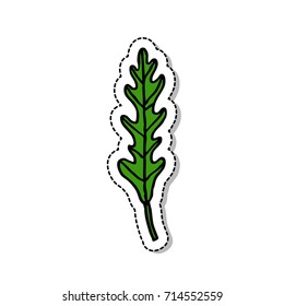 arugula (rucola) doodle icon