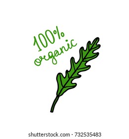 arugula (rucola) doodle icon