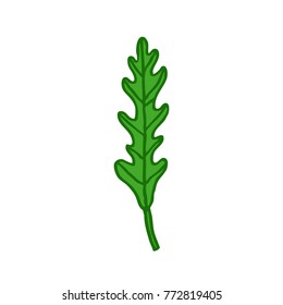 arugula (rucola) doodle icon