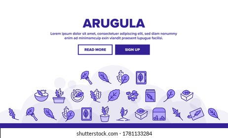 Arugula O Rucola Landing, Vector De Plantilla De Banner De Cabecera De Página Web. Planta De Arugula En Invernadero Y Jardín, En Placas Y Horquilla, Especias De Hojas Para Ilustraciones De Comidas