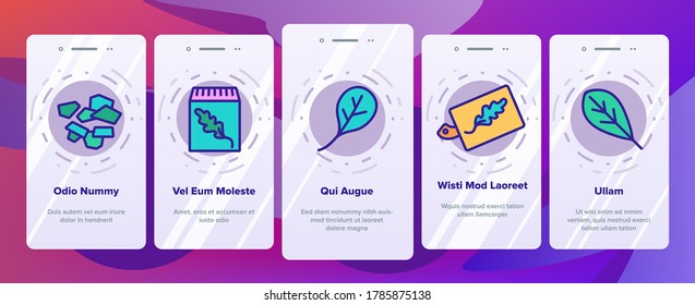 Arugula Or Rucola Onboarding Mobile App Page Screen Vector. Arugula Plant In Greenhouse And Garden, On Plate And Fork, Leaf Spice For Meal Illustrations