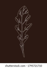 Arugula rucola (ensalada de cohetes). Una sola hoja aislada en el fondo negro. Ilustración del vector de línea. Hierbas frescas. Ingrediente Vegetario. Comida orgánica. Logotipo, envasado, impresión, almacén de mercado