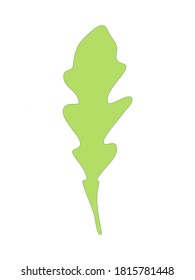 Arugula rucola (ensalada de cohetes). Silueta de hoja verde única aislada en un fondo oscuro. Ilustración vectorial. Hierbas frescas. Arte botánico. Ingrediente vegetariano. Logotipo, impresión, comida orgánica, mercado