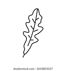 arugula salad food line icon vector. arugula salad food sign. isolated contour symbol black illustration