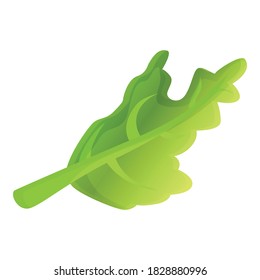 Arugula salad icon. Cartoon of arugula salad vector icon for web design isolated on white background