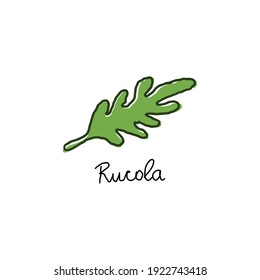 Arugula salad or rucola leaves hand drawn cartoon doodle  vector illustration. Fresh herbs healthy lifestyle eco farm food culinary concept