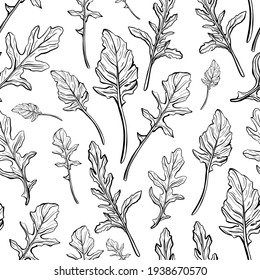 Arugula seamless pattern. Arugula leaves on a white background. Spicy and aromatic Italian seasoning. Hand-drawn vector illustration