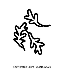 arugula slice food cut line icon vector. arugula slice food cut sign. isolated contour symbol black illustration
