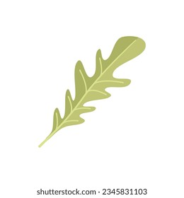 Arugula spinach icon flat vector. Rucola salad. Vegetable plant isolated