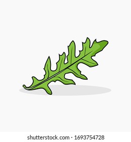 arugula vector illustration for all purpose.