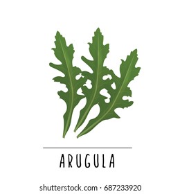 3,155 Arugula drawing Images, Stock Photos & Vectors | Shutterstock