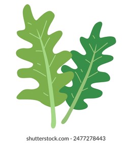 Arugula vegetable vector illustration, arugula leaf cartoon icon flat design, healthy green leafy vegetables