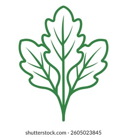 Arugula With White Background eps