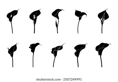 Arum Lily Silhouette Vector Bundle, Lily Flower black Silhouette Clipart Set