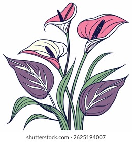arum vector colorful on white background
