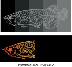 arwana fish in vector art style