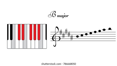 Ascending B-major scale, piano keyboard top view, line with five sharps. Musical theory. Vector illustration.