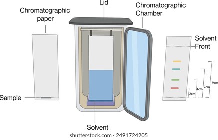 Ascending Chromatography Principle and Instrumentation Diagram, White Background, Science Vector Illustration