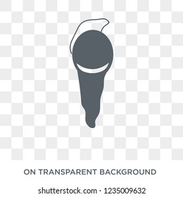 asceticism icon. Trendy flat vector asceticism icon on transparent background from Religion collection. 