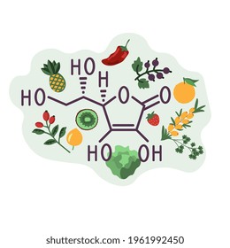Ascorbic acid sources vector illustration