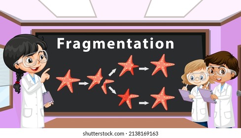 Asexual Reproduction Fragmentation With Starfish Illustration