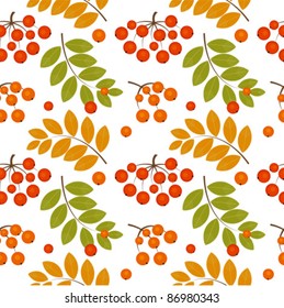 Ash berry seamless pattern. Vector illustration