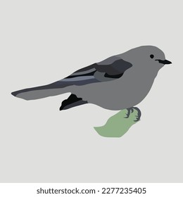 ash and black color bird vector artwork
