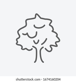 Ash icon line symbol. Isolated vector illustration of icon sign concept for your web site mobile app logo UI design.