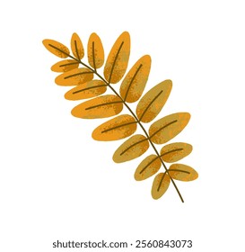 Ash leaf branch. Autumn tree leaves, dried foliage Seasonal botanical design element, forest decoration, fall herbarium. Natural decor. Flat vector illustration isolated on white background