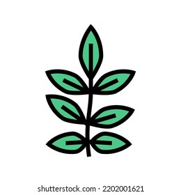ash leaf color icon vector. ash leaf sign. isolated symbol illustration