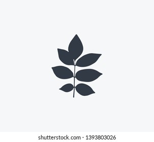 Ash leaf icon isolated on clean background. Ash leaf icon concept drawing icon in modern style. Vector illustration for your web mobile logo app UI design.