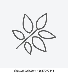 Ash leaf icon line symbol. Isolated vector illustration of icon sign concept for your web site mobile app logo UI design.