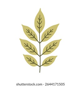 Ash leaf in light green color. One element isolated on white. Spring or summer background, vector illustration