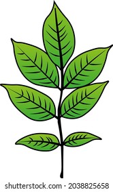 color vectorial de hoja de ceniza otoño