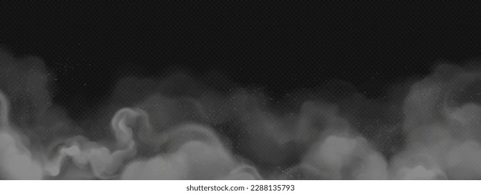Ash powder fog on black transparent background. Smoke cloud texture vector effect. Fog dust air illustration. Isolated realistic dark mist steam abstract design. Gray coal particle flow backdrop