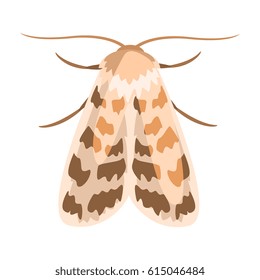 Ash sphinx moth or manduca jasminearum. Colorful cartoon illustration