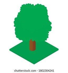 Ash tree icon. Isometric illustration of ash tree vector icon for web