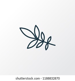 Ash tree leaf icon line symbol. Premium quality isolated linden  element in trendy style.