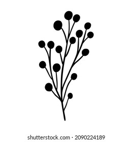Ashberry branch vector illustration. Floral hand drawn rowan. Christmas linear element in modern style. Elegant ashberry twig silhouette isolated on white background. Rowan branch line art design.